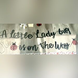 Lady Bug Baby Shower A little Lady bug is on the way